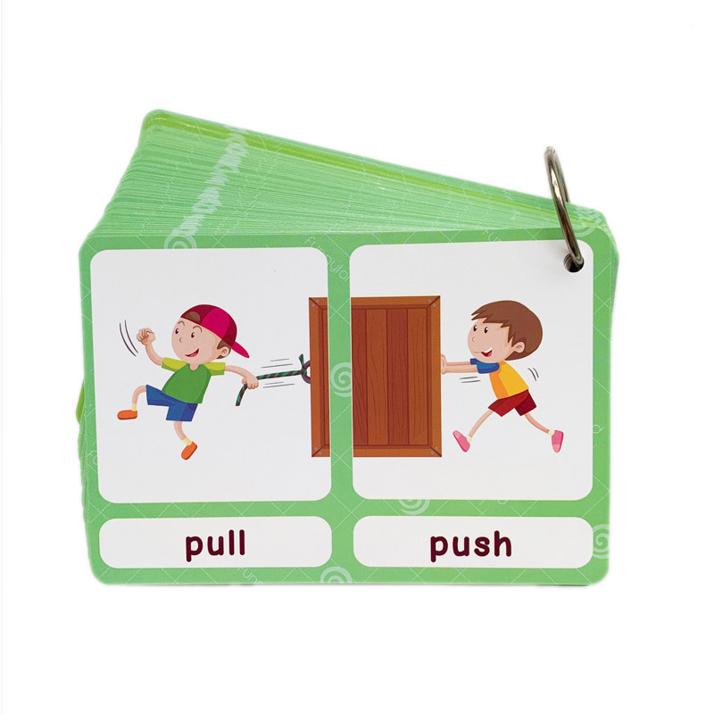 The 100 Groups Opposites Flash - đánh giá và giá Kids Toys Learning